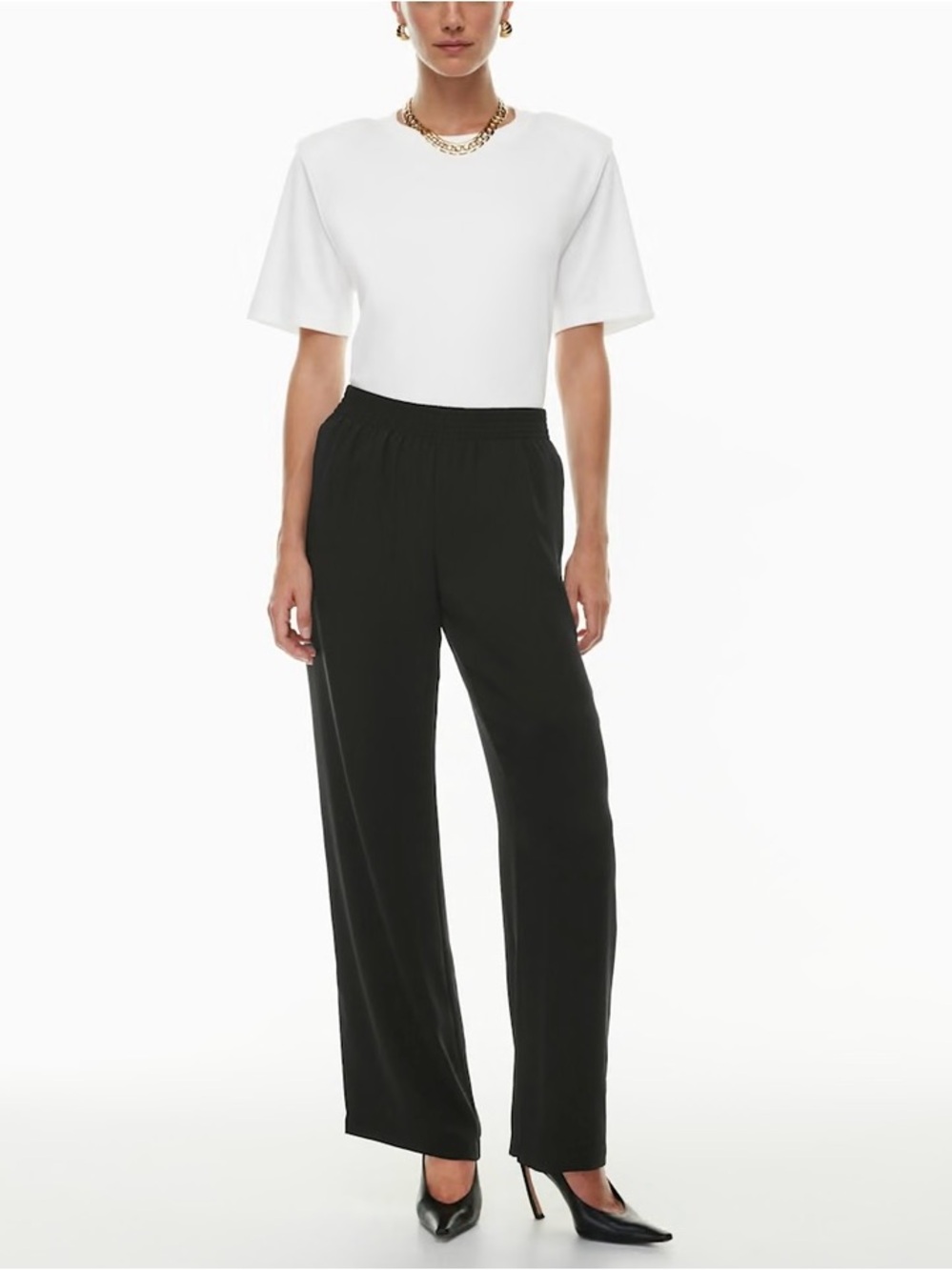 Aritzia Babaton Tribute wide leg pant